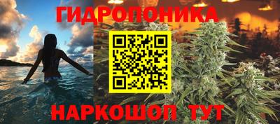 гидра Гусиноозёрск