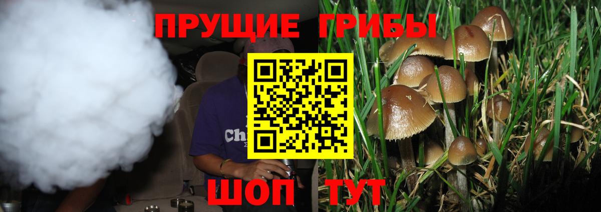 Новочебоксарск  Псилоцибиновые грибы мицелий  Вход с VPN 